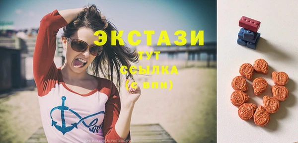 гашик Верея