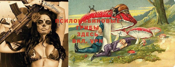 гашик Верея