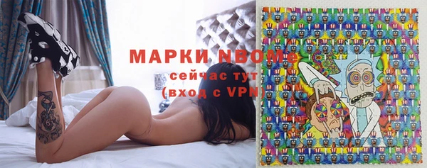 таблы Бородино